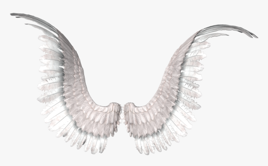 Detail Angel Wings For Photo Editing Nomer 16