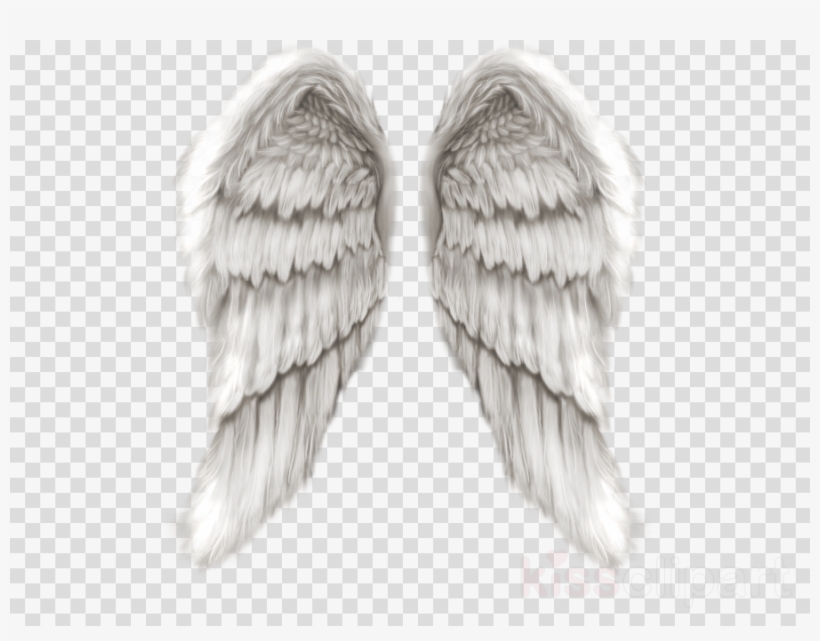 Detail Angel Wings For Photo Editing Nomer 3