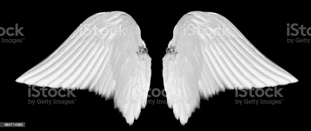 Detail Angel Wings For Photo Editing Nomer 37