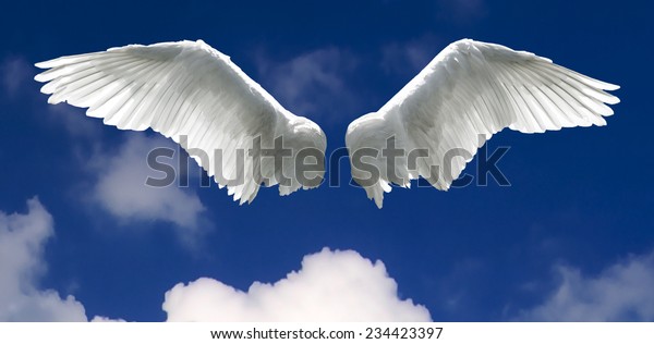 Detail Angel Wings For Photo Editing Nomer 47