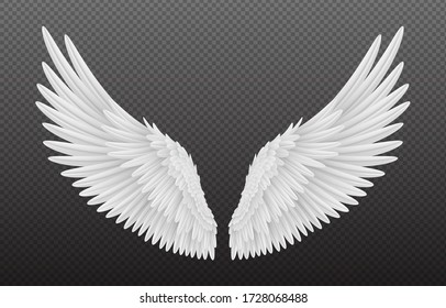 Detail Angel Wings For Photo Editing Nomer 57