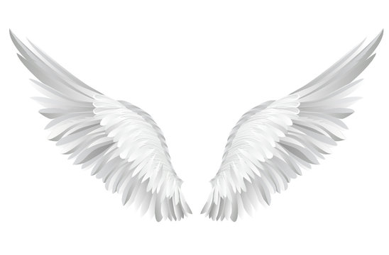 Angel Wings For Photoshop - KibrisPDR