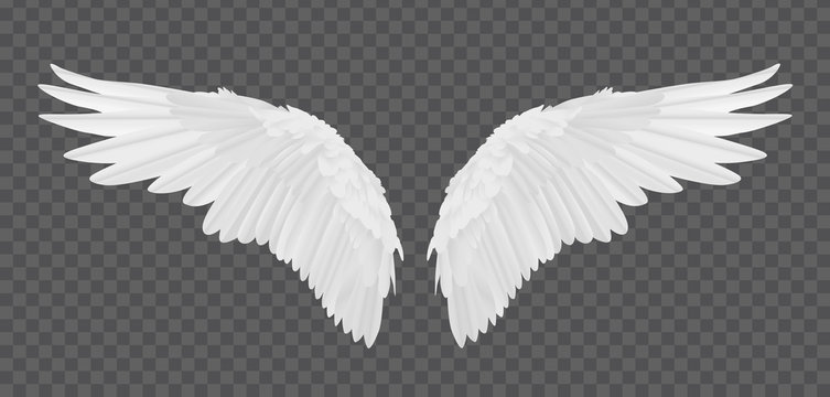 Detail Angel Wings For Photoshop Nomer 2