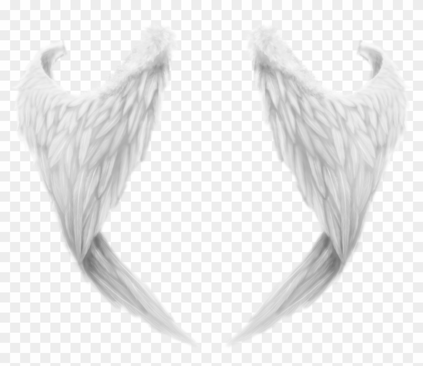 Detail Angel Wings For Photoshop Nomer 16