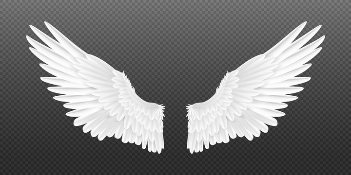 Detail Angel Wings For Photoshop Nomer 3