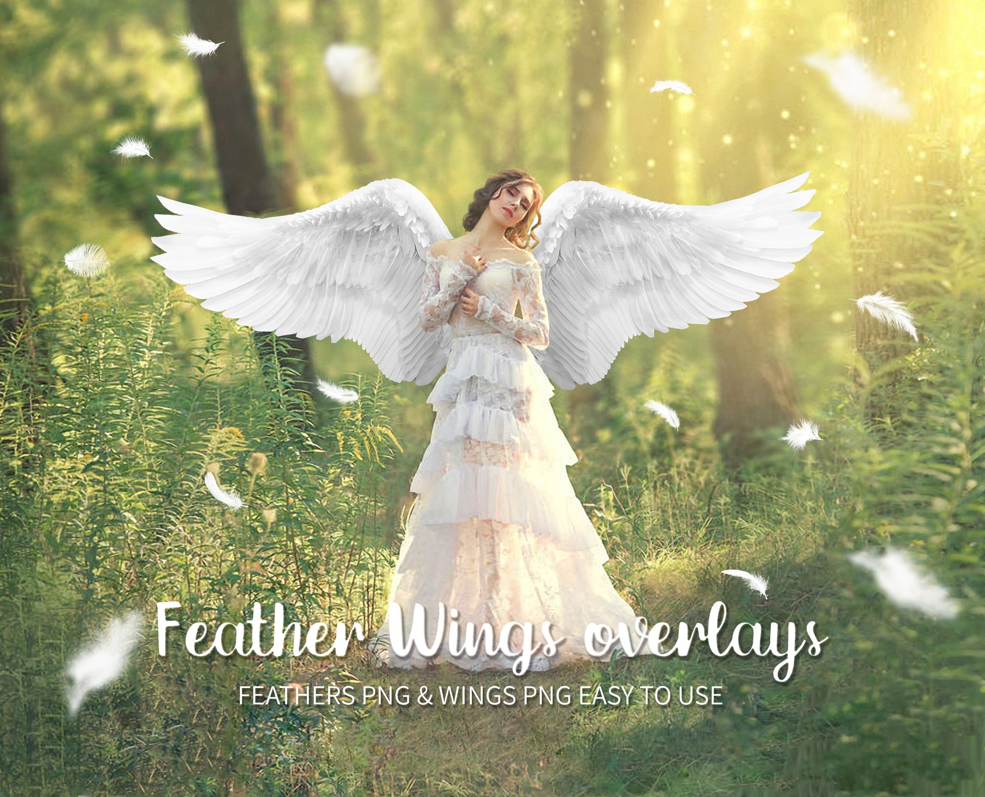 Download Angel Wings For Photoshop Nomer 22