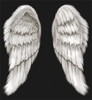Detail Angel Wings For Photoshop Nomer 44