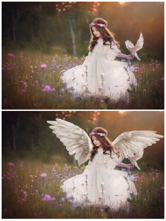 Detail Angel Wings For Photoshop Nomer 55