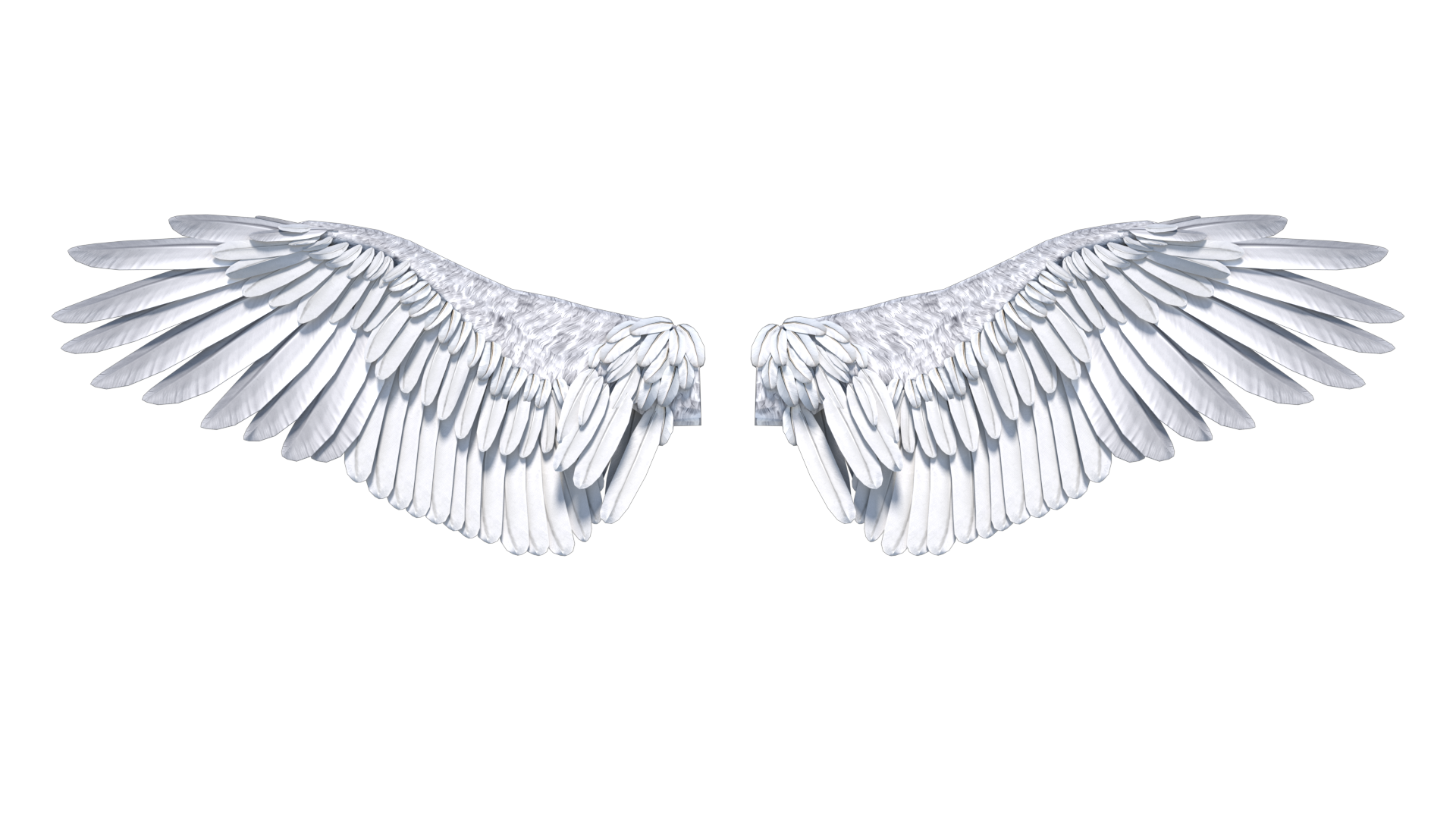 Detail Angel Wings Free Images Nomer 14