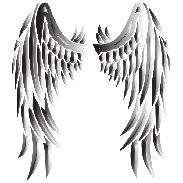 Detail Angel Wings Free Images Nomer 23