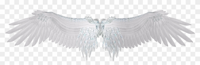 Detail Angel Wings Free Images Nomer 33