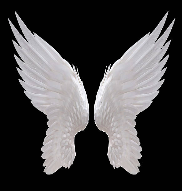 Detail Angel Wings Free Images Nomer 5