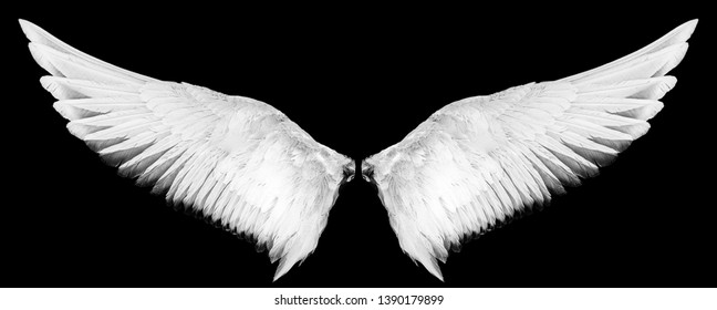 Detail Angel Wings Free Images Nomer 40
