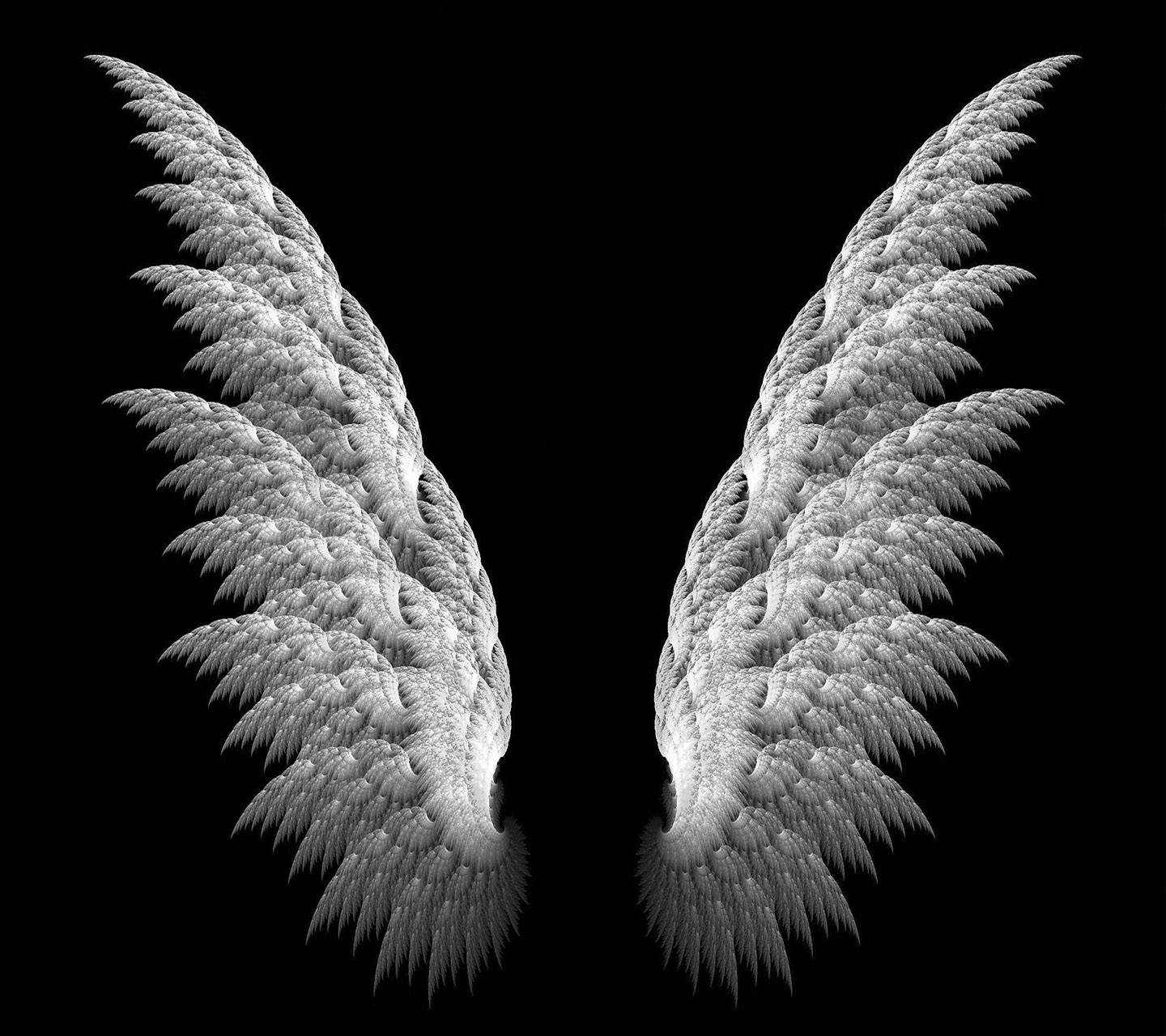 Detail Angel Wings Hd Nomer 13