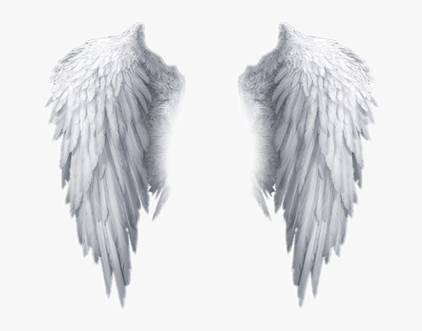 Detail Angel Wings Hd Nomer 14