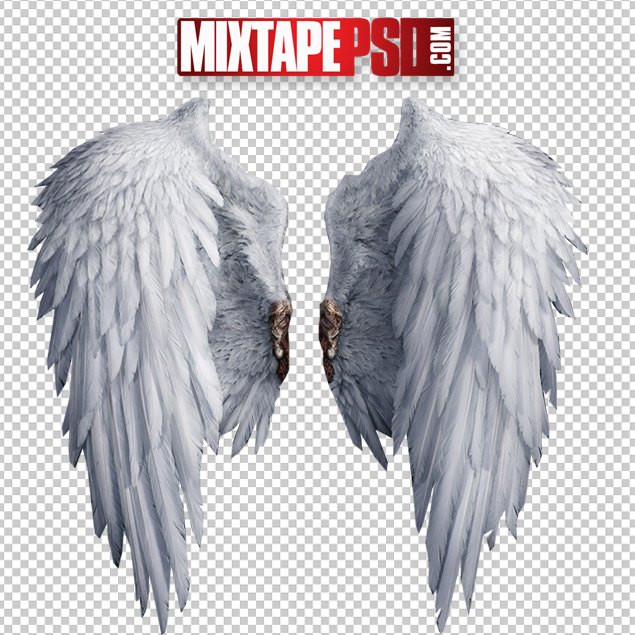 Detail Angel Wings Hd Nomer 20