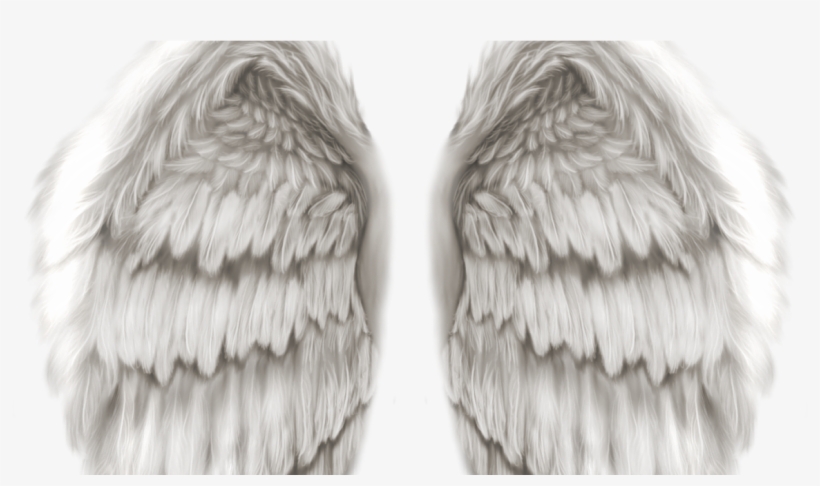 Detail Angel Wings Hd Nomer 24