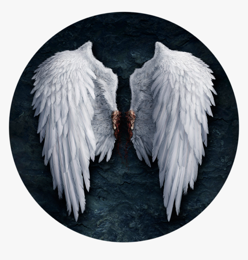 Detail Angel Wings Hd Nomer 27