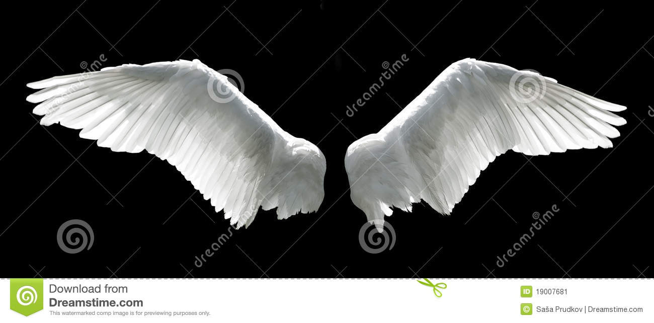 Detail Angel Wings Hd Nomer 36
