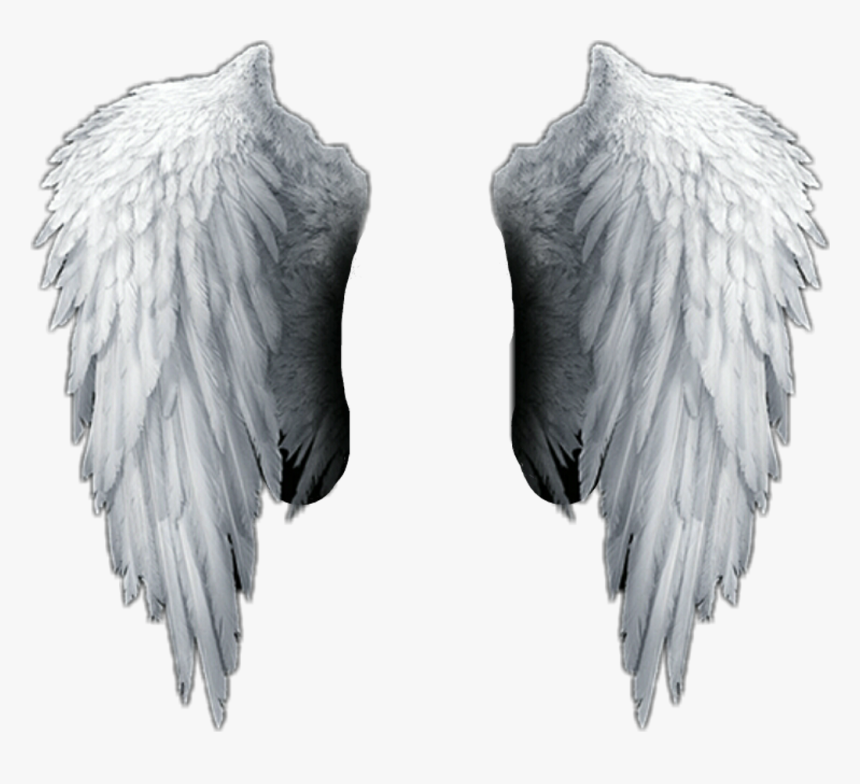 Detail Angel Wings Images Hd Nomer 11