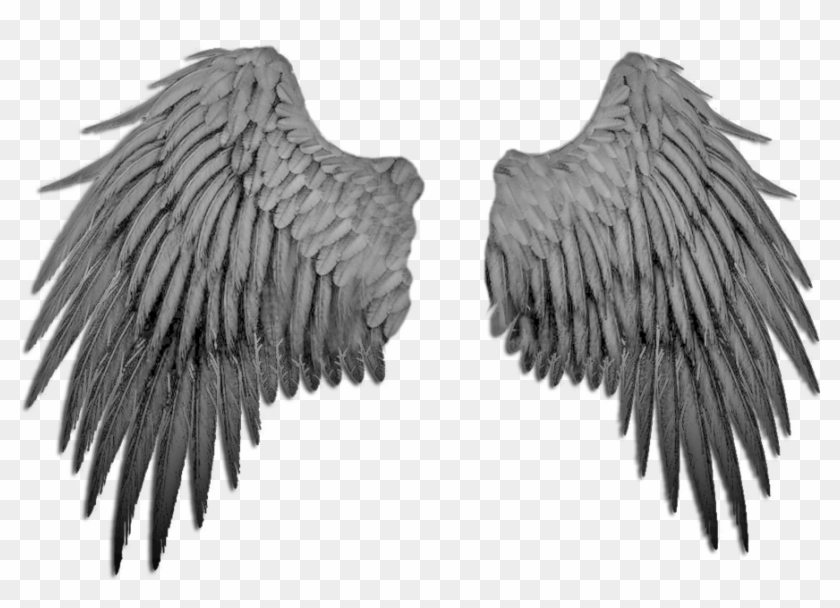 Detail Angel Wings Images Hd Nomer 19