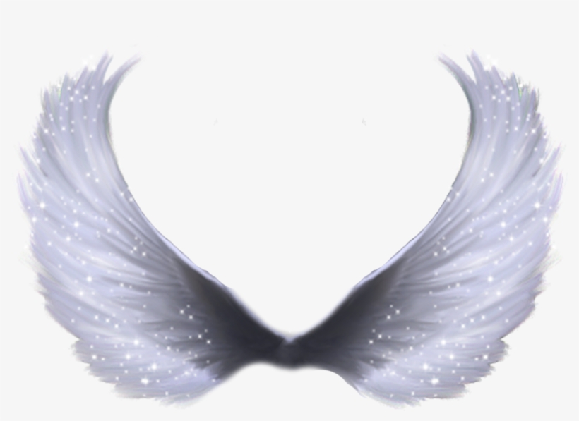 Detail Angel Wings Images Hd Nomer 27