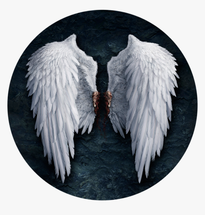 Detail Angel Wings Images Hd Nomer 35