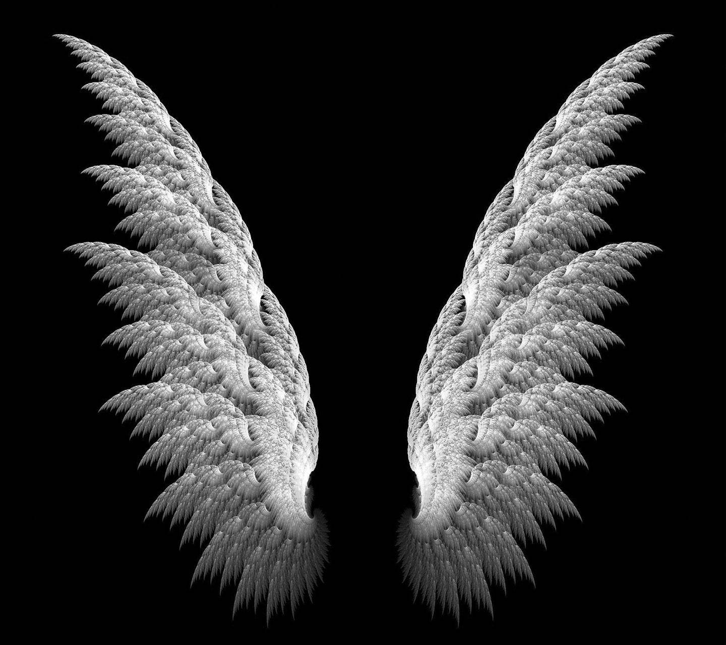 Detail Angel Wings Images Hd Nomer 9