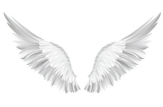 Angel Wings Images Photoshop - KibrisPDR