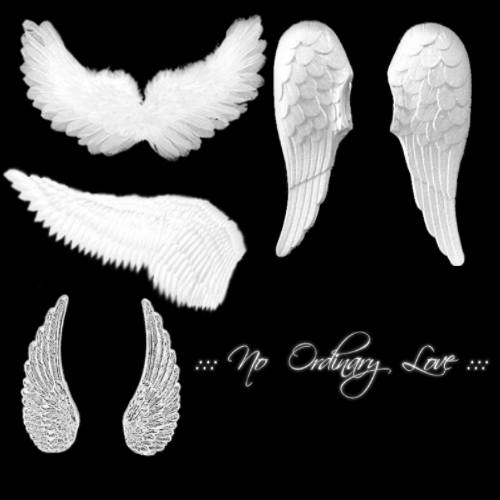 Detail Angel Wings Images Photoshop Nomer 11