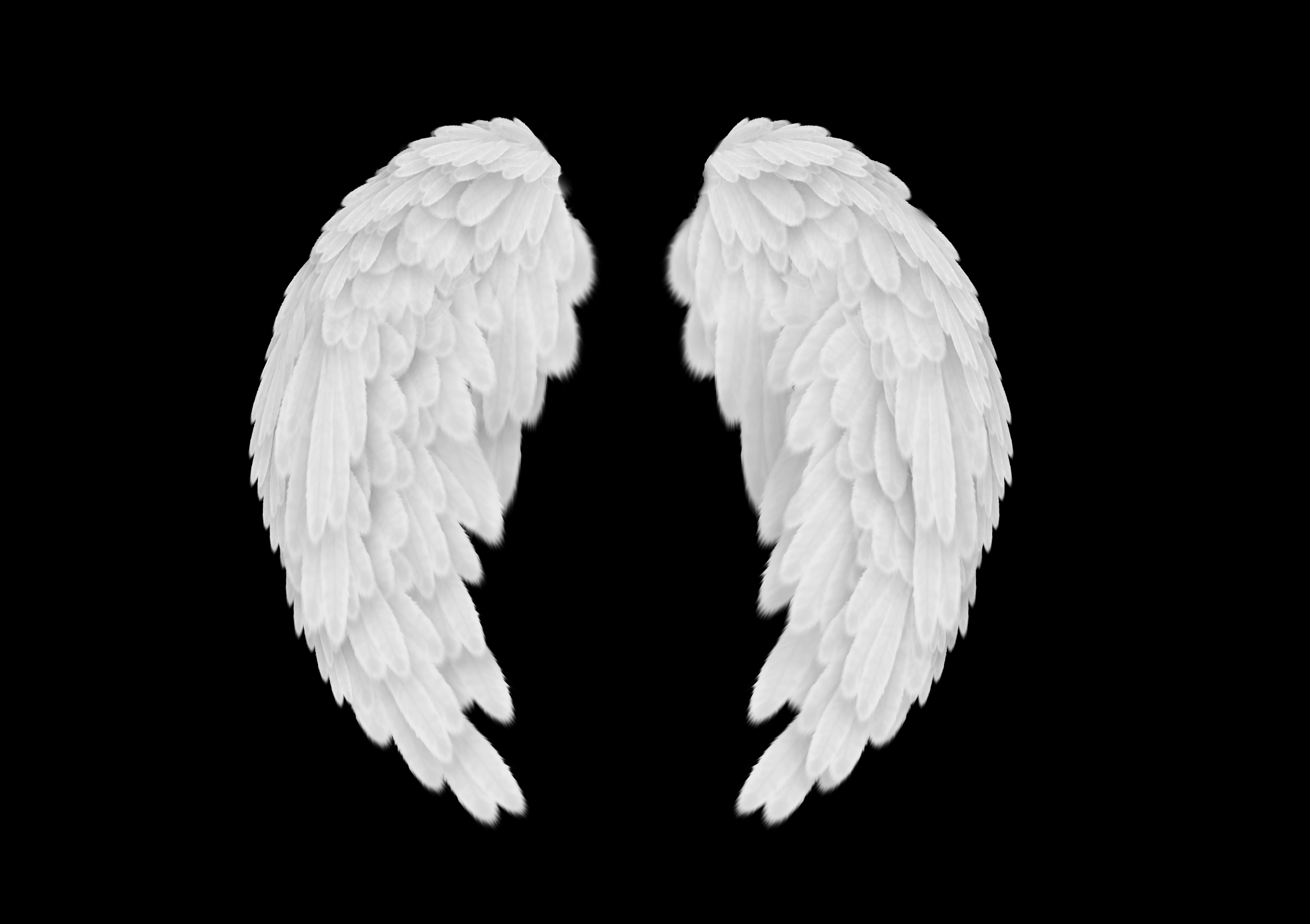 Detail Angel Wings Images Photoshop Nomer 17