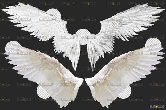 Detail Angel Wings Images Photoshop Nomer 21