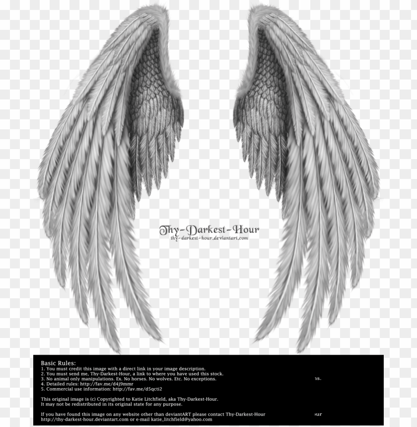 Detail Angel Wings Images Photoshop Nomer 26