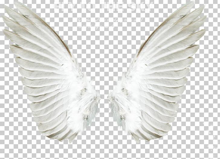 Detail Angel Wings Images Photoshop Nomer 34