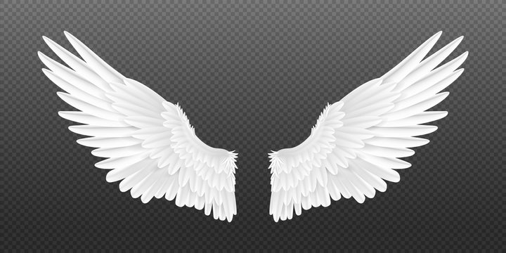 Detail Angel Wings Images Photoshop Nomer 5