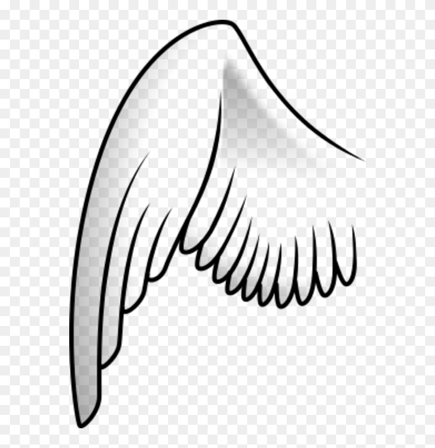 Detail Angel Wings Outline Clip Art Nomer 12