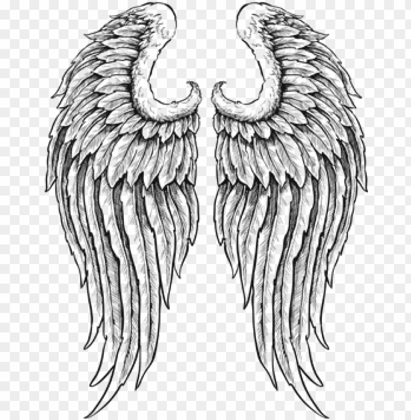 Detail Angel Wings Outline Clip Art Nomer 14