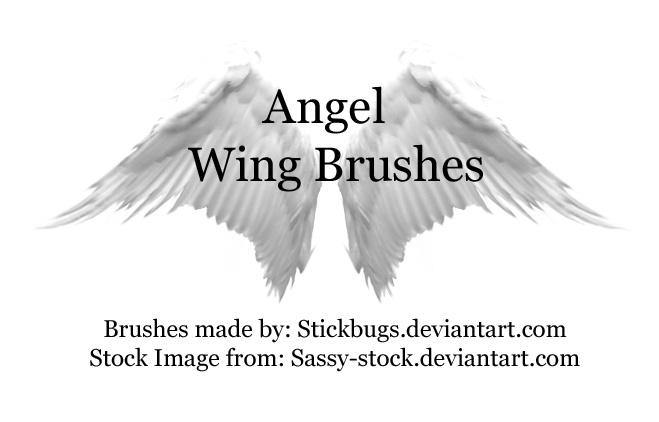 Detail Angel Wings Photoshop Brush Nomer 12