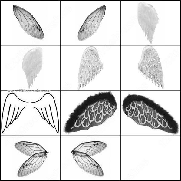 Detail Angel Wings Photoshop Brushes Nomer 16