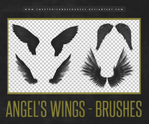 Detail Angel Wings Photoshop Brushes Nomer 4