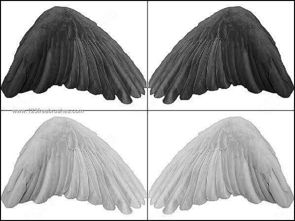 Detail Angel Wings Photoshop Brushes Nomer 26
