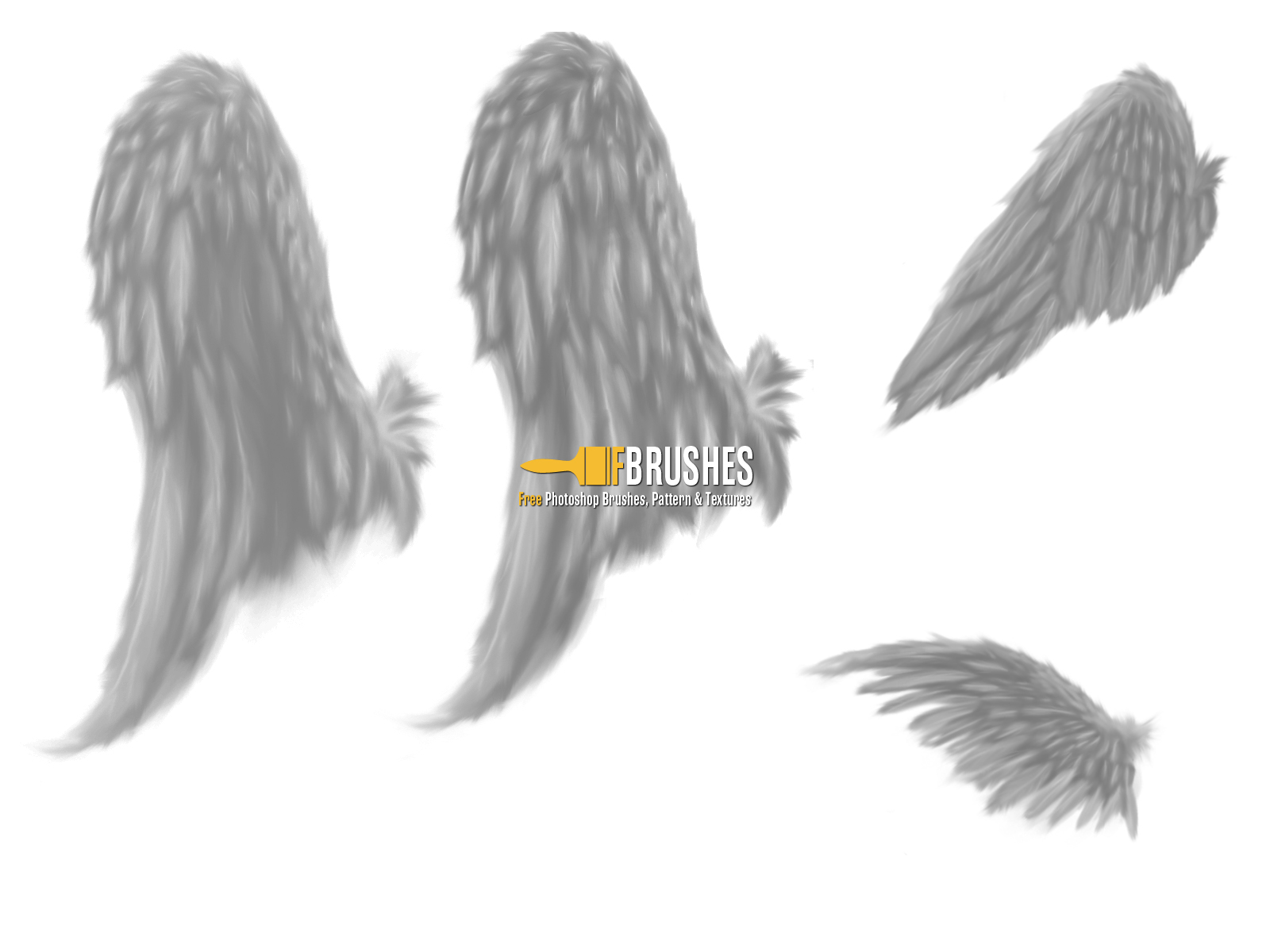 Detail Angel Wings Photoshop Brushes Nomer 31