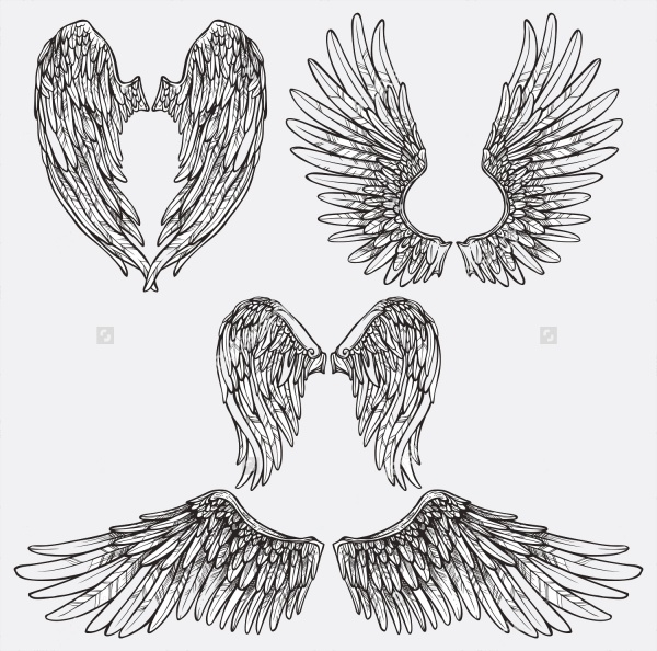 Detail Angel Wings Photoshop Brushes Nomer 49