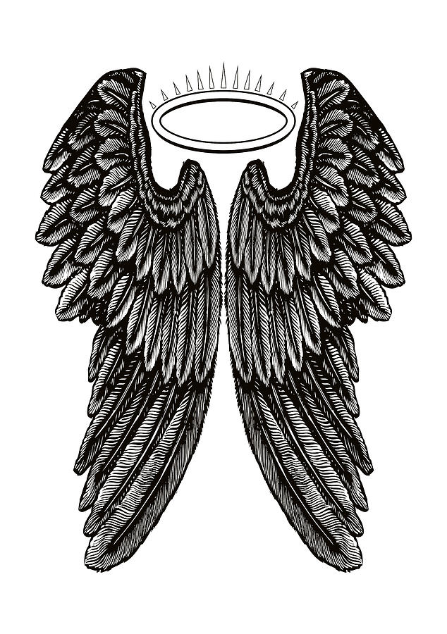 Detail Angel Wings Picture Nomer 35
