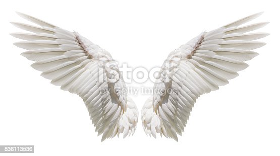 Detail Angel Wings Picture Nomer 8