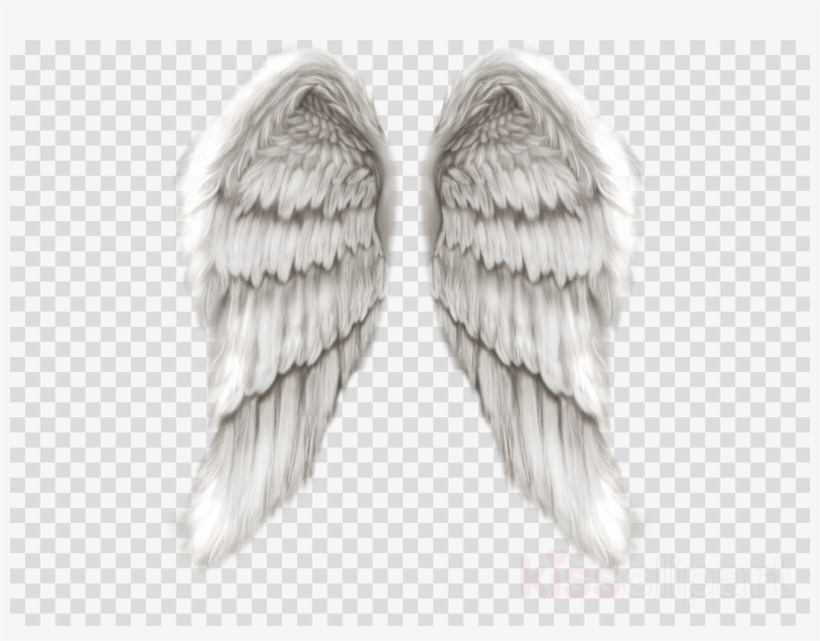 Detail Angel Wings Picture Editor Nomer 8