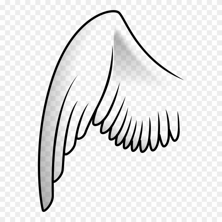 Detail Angel Wings Png Clipart Nomer 12