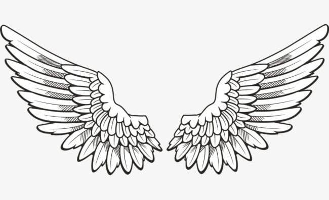 Detail Angel Wings Png Clipart Nomer 15