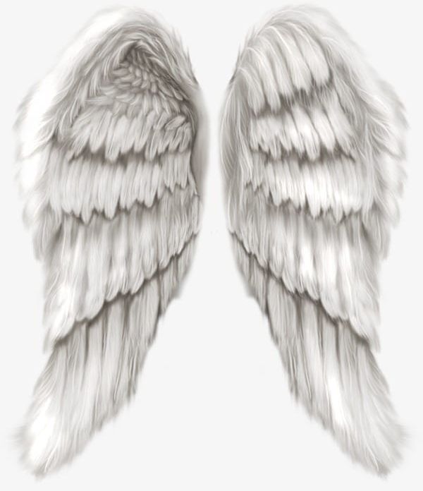 Detail Angel Wings Png Clipart Nomer 26