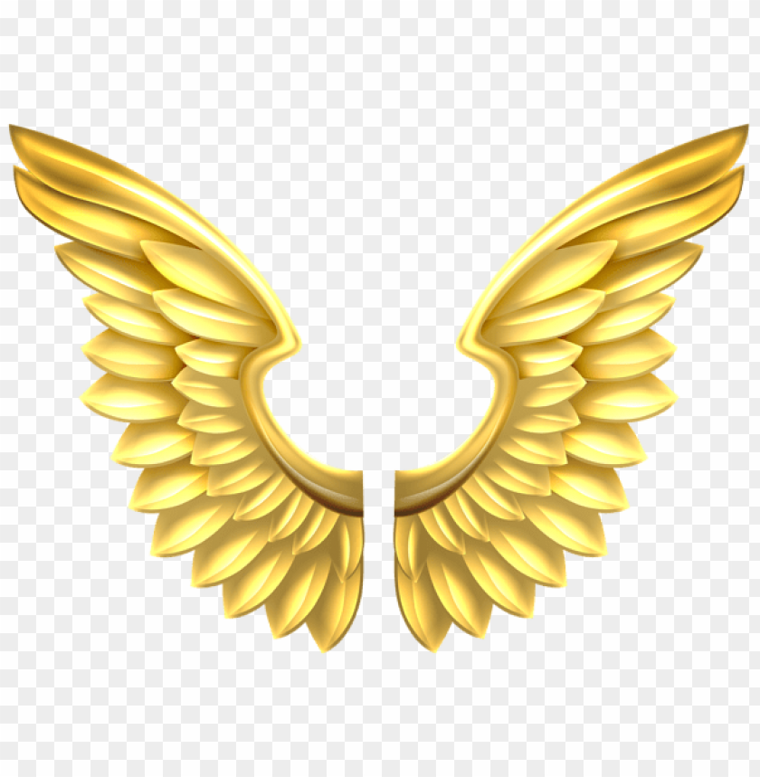 Detail Angel Wings Png Clipart Nomer 41